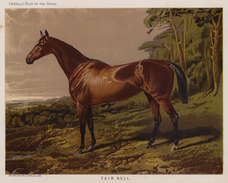 Fair Nell (renkli taş) by English School
