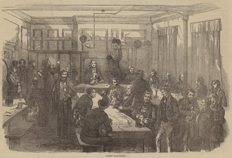 Fantezi Köpek Gösterisi (gravür) by English School