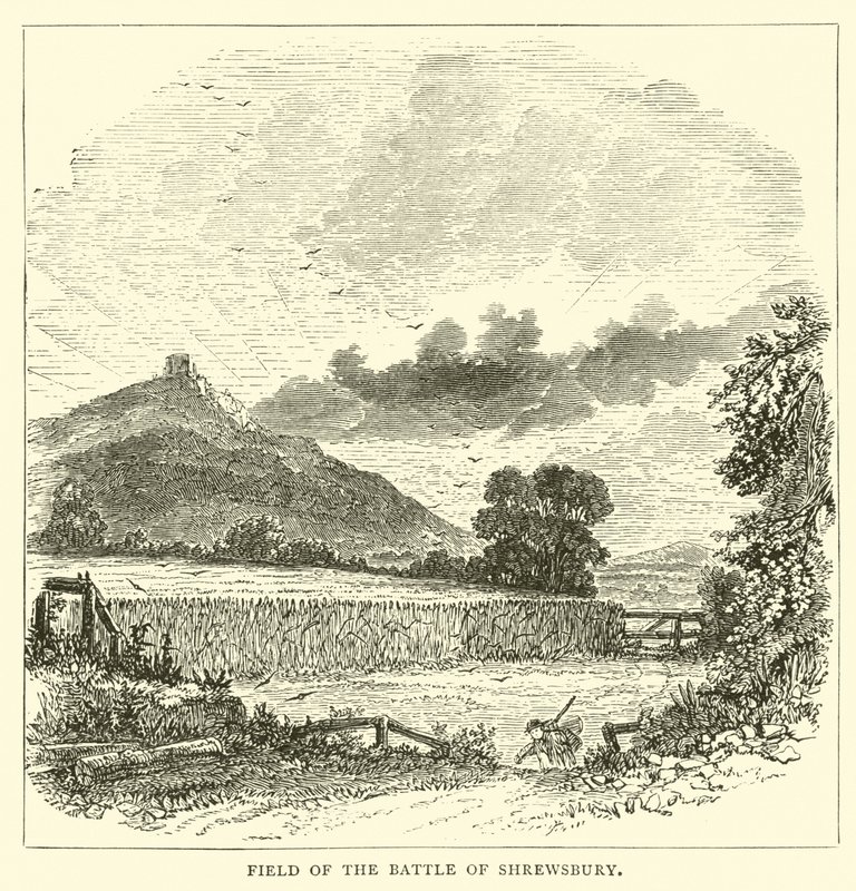 Shrewsbury Savaşı Alanı by English School