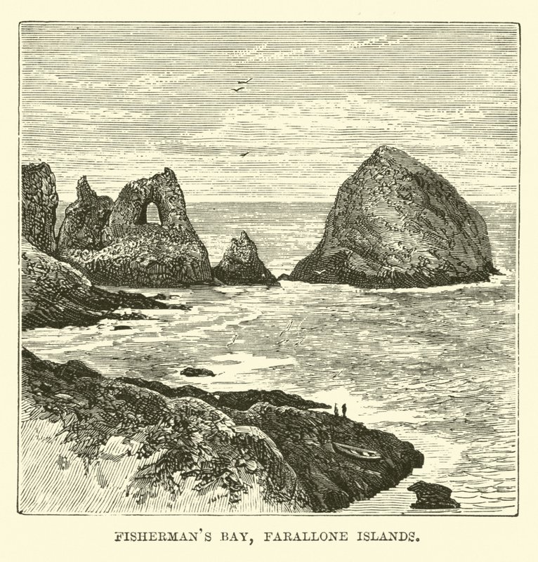 Balıkçılar Körfezi, Farallon Adaları by English School