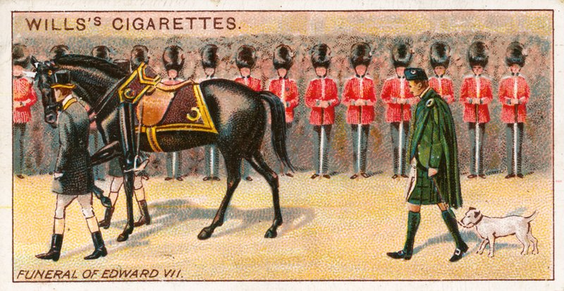 Kral Edward VII