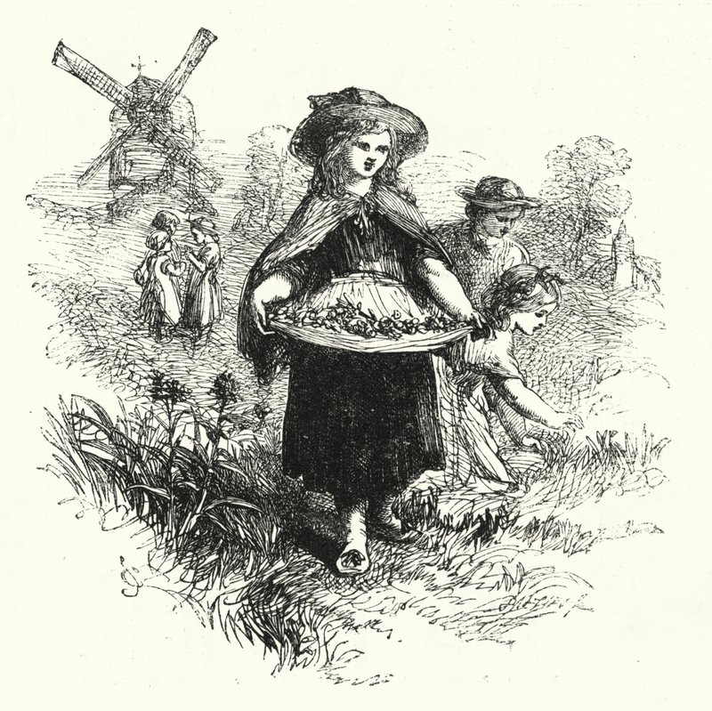 İplik Toplama (gravür) by English School