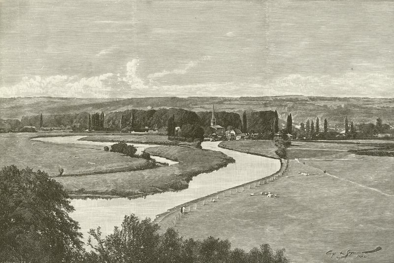 Quarry Woods
