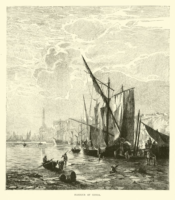 Cenova Limanı by English School