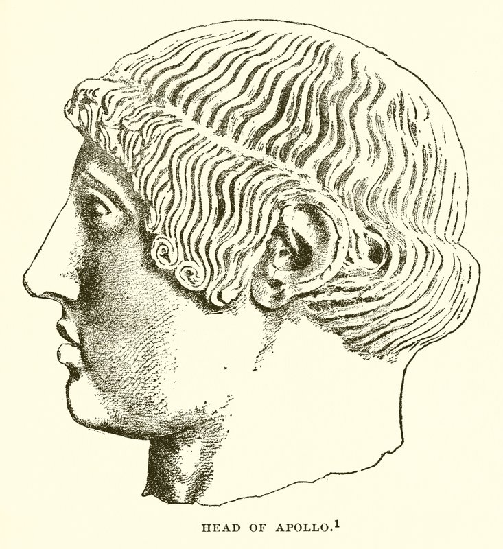 Apollon Başkanı by English School