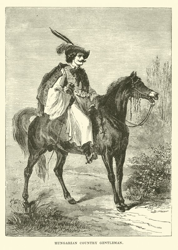 Macar ülke beyefendi by English School