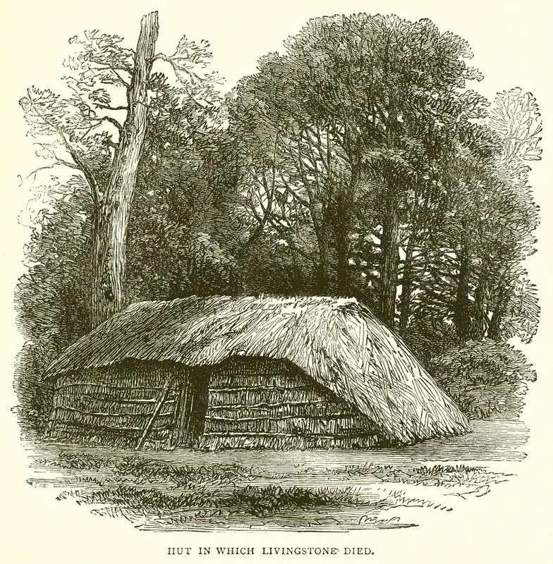Livingstone