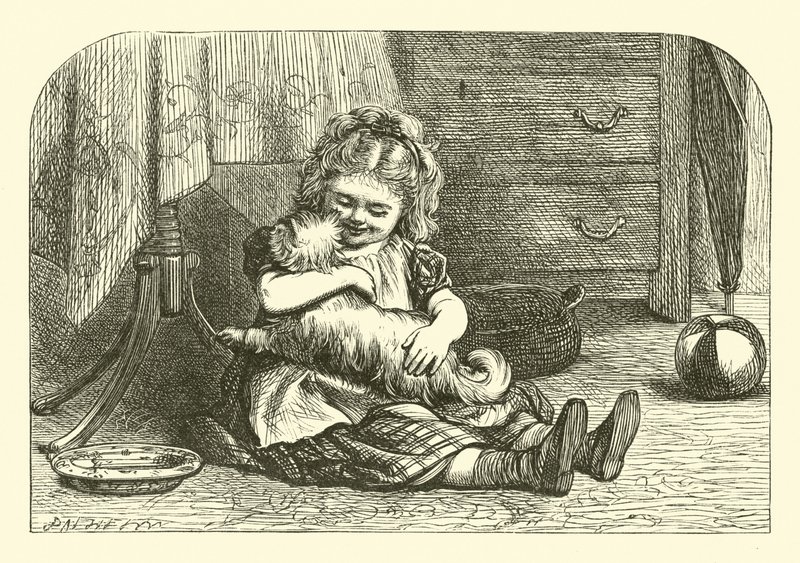 küçük bir köpeğim vardı by English School