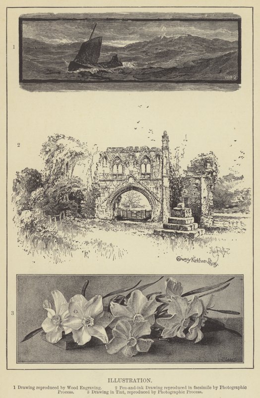 İllüstrasyon (gravür) by English School