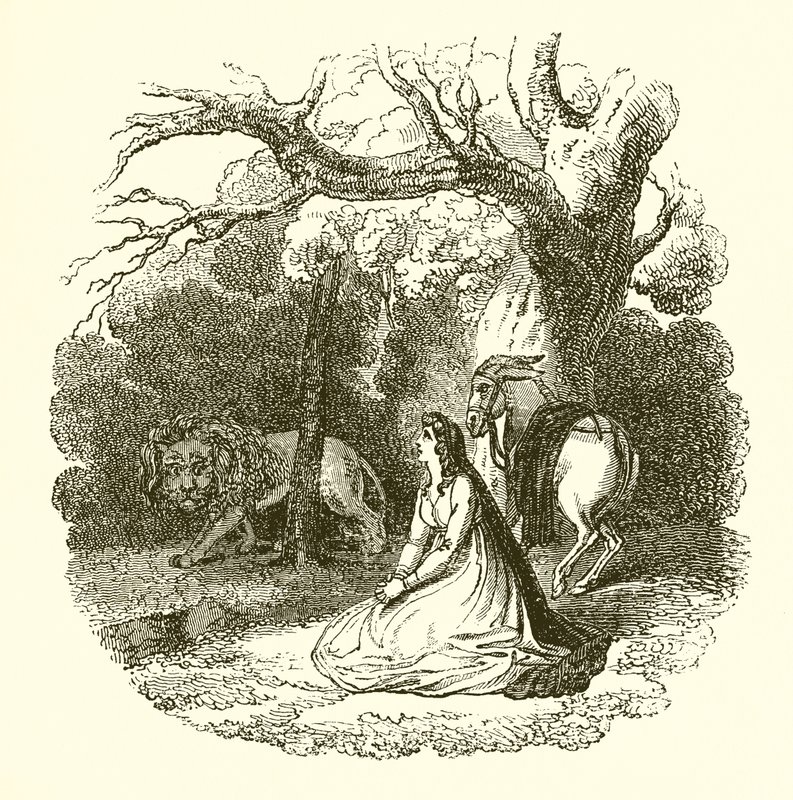 Faery Queene çizimi by English School