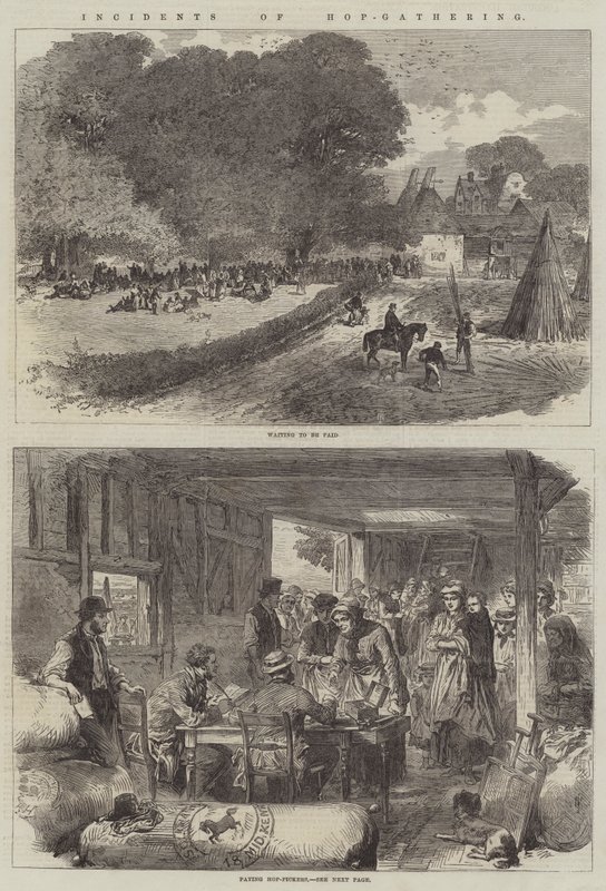 Hop-Toplama Olayları (gravür) by English School