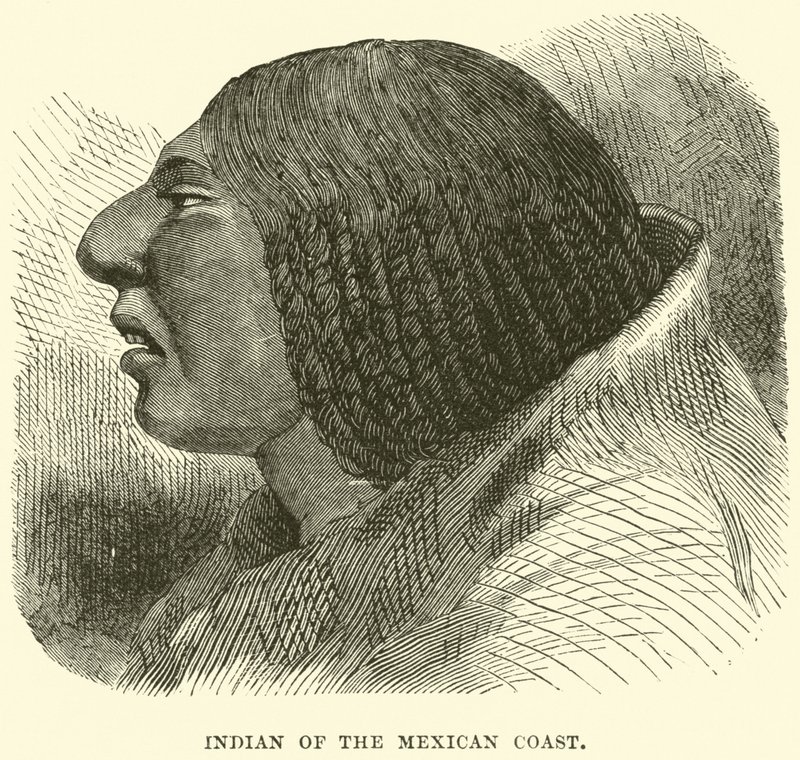 Meksika Sahili Kızılderilileri by English School
