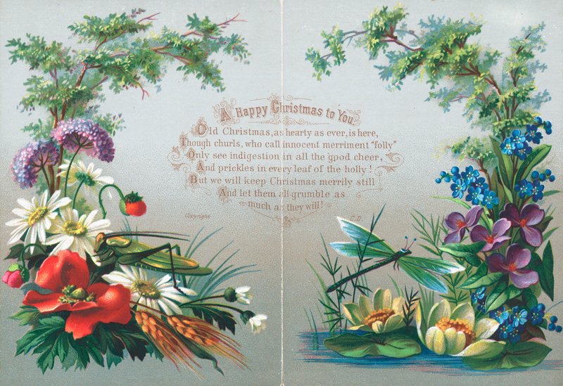 Böcekler ve Çiçekler, Noel Kartı by English School