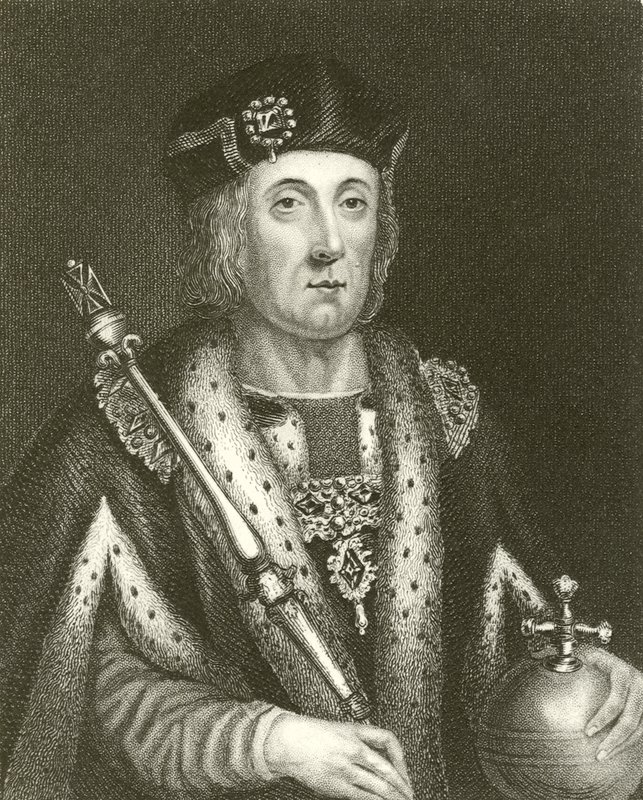 Kral Henry VII by English School