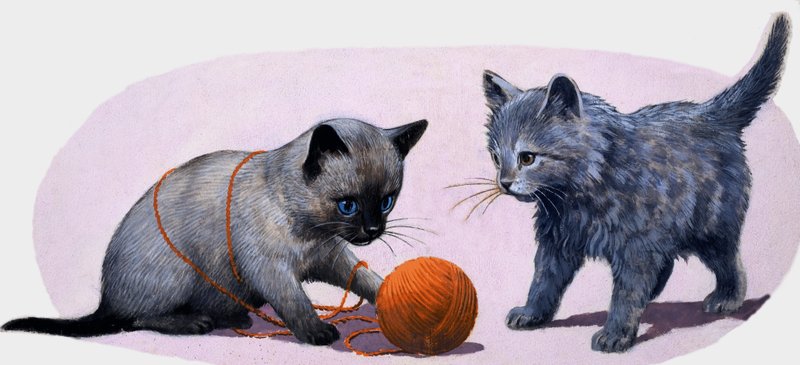 Bir yün yumağı ile oynayan yavru kedi by English School