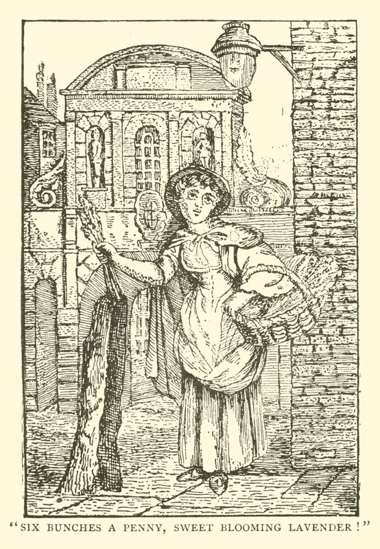 Lavanta satıcısı (tahta baskı) by English School