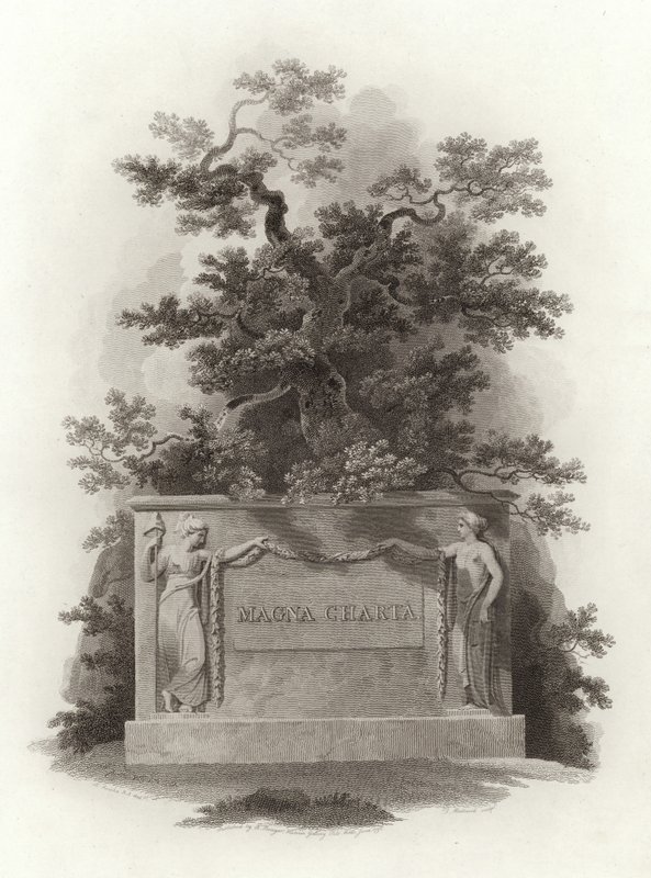 Magna