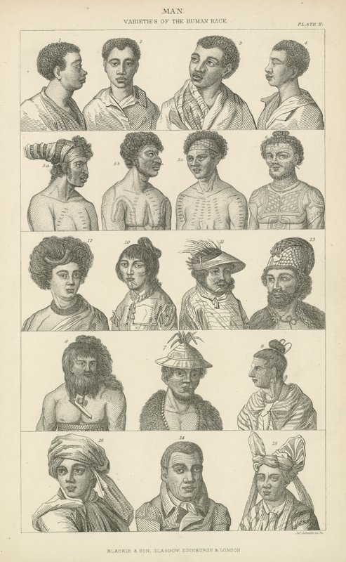Adam. İnsan ırkının çeşitleri (gravür) by English School