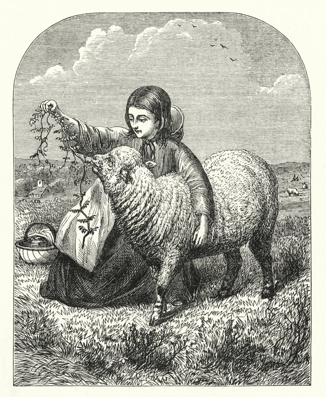 Mary