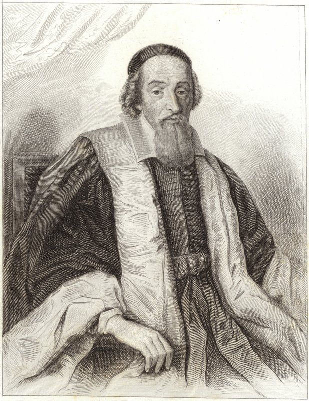 Mathieu köstebek by English School