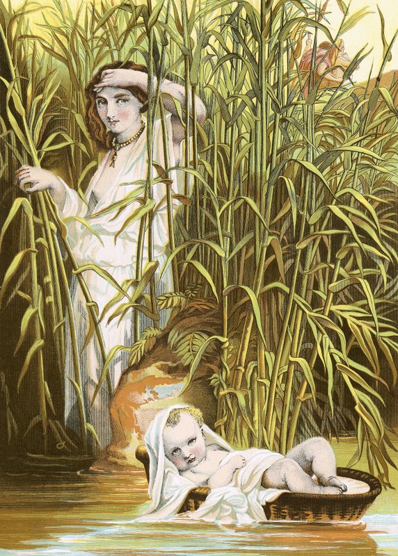 Moses in the bulrushes by English School