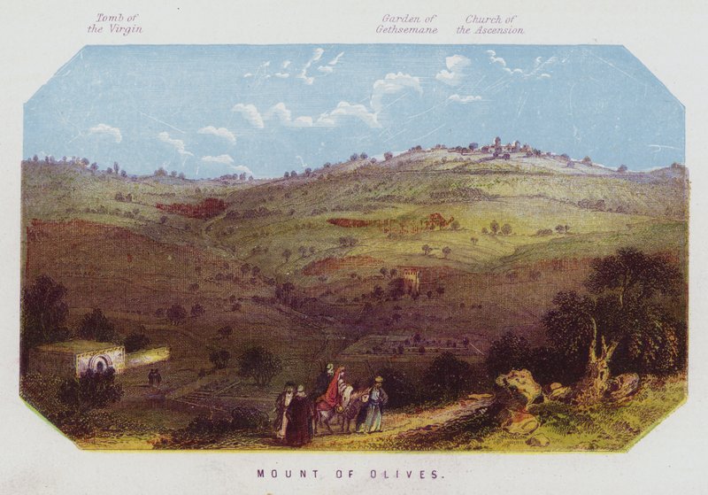 Zeytin Dağı (renkli taş) by English School