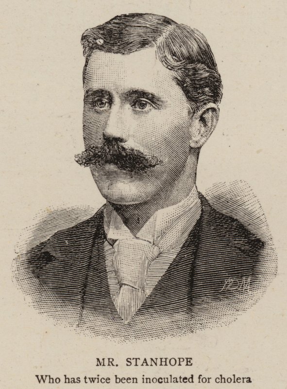 Bay Stanhope (gravür) by English School