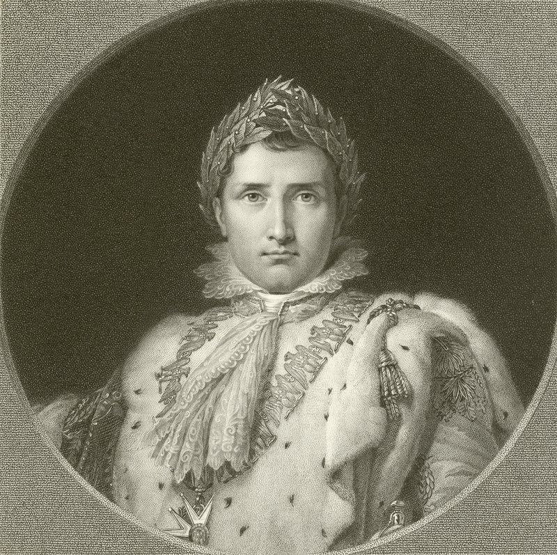Napolyon by English School
