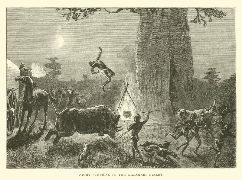 Kalahari Çölü