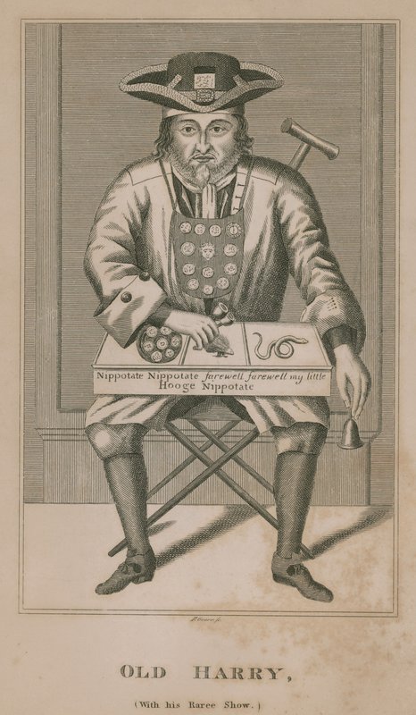 Nadir Gösterisi ile Yaşlı Harry by English School