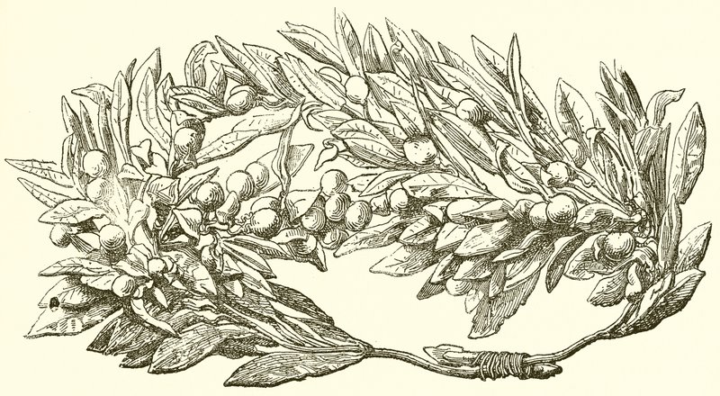 Altın Zeytin Çelengi by English School