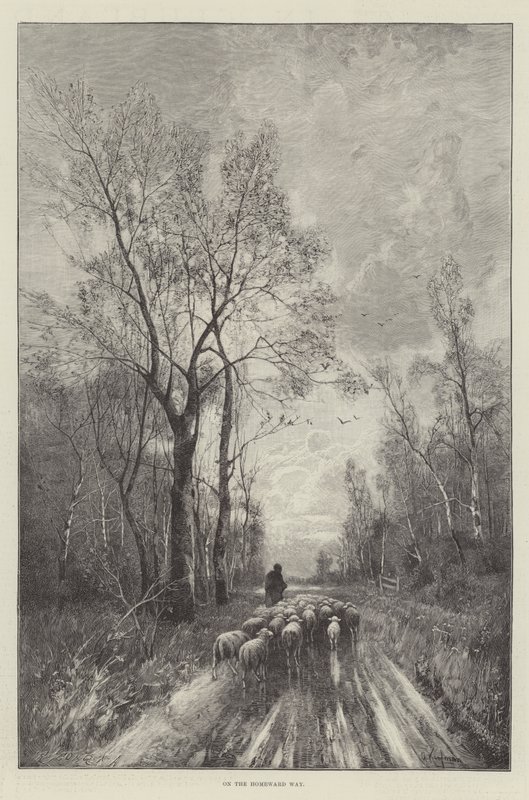 Eve Dönüş Yolunda (gravür) by English School