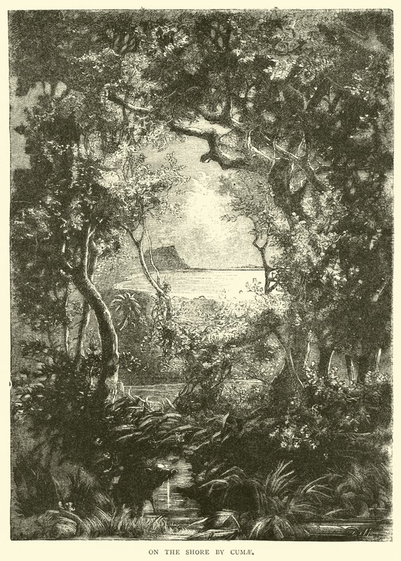 Cumae tarafından kıyıda by English School