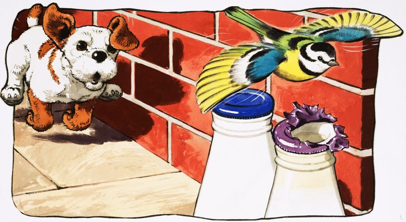 Paddy Paws by English School