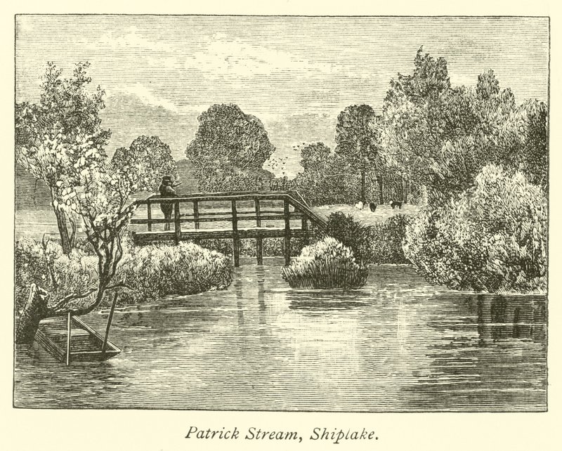 Patrick Çayı, Shiplake by English School