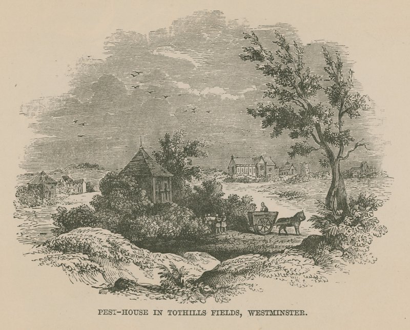 Tothhill Fields