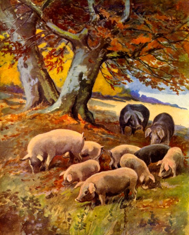 Çimdeki Domuzlar (renkli taş) by English School