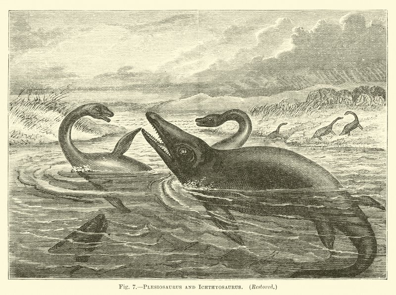 Plesiosaurus ve Ichthyosaurus by English School