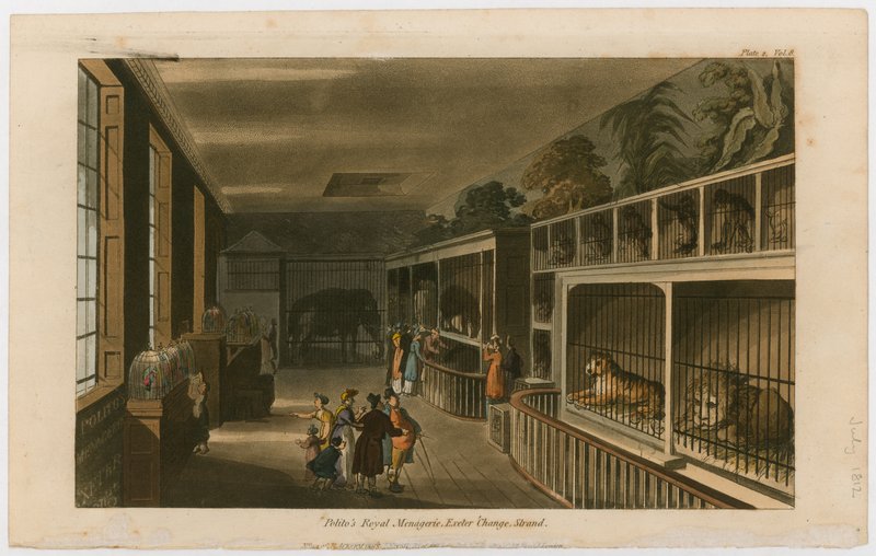 Politos Royal Menagerie, Exeter Change, Strand by English School