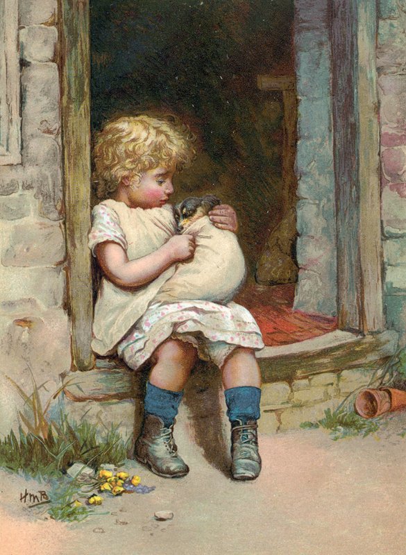 Zavallı küçük köpek by English School
