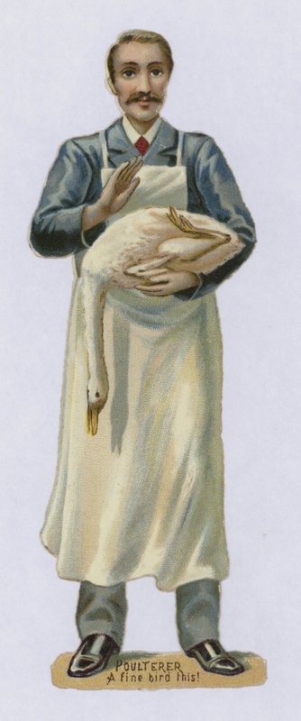 Poulterer, Güzel Bir Kuş Bu by English School