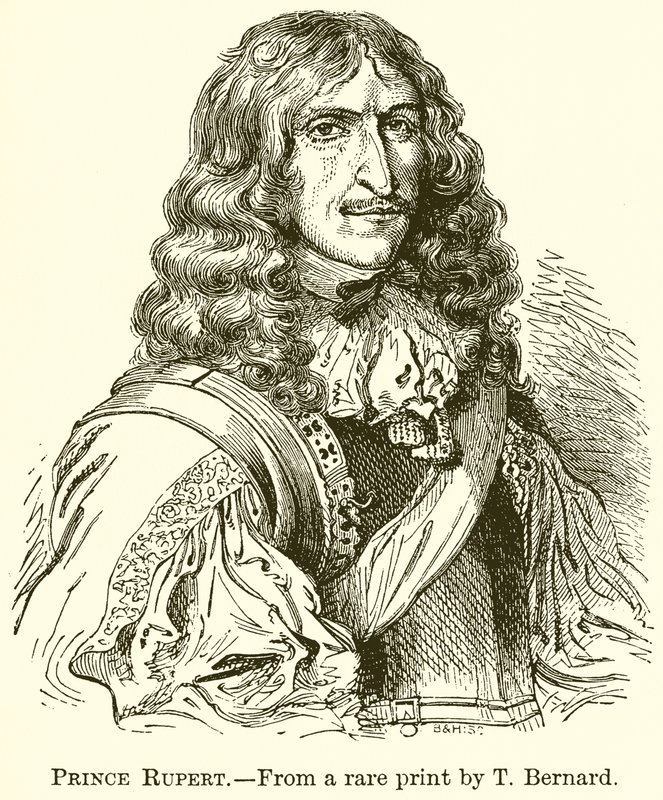 Prens Rupert by English School