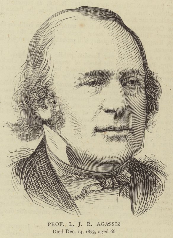 Profesör LJ R Agassiz (gravür) by English School
