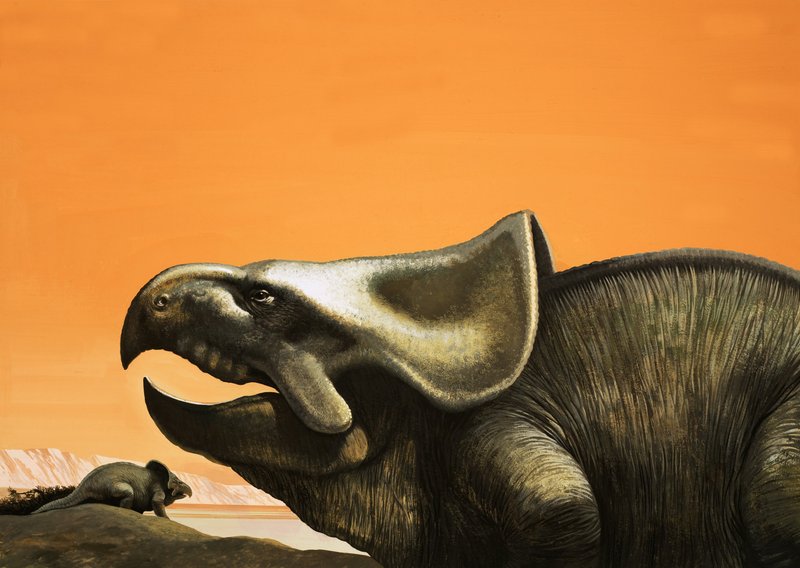 protoceratoplar by English School