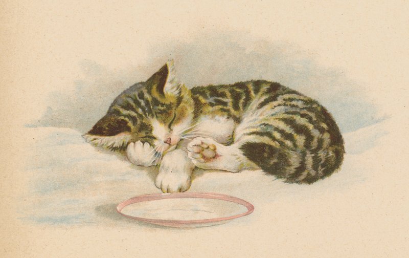 Kedi Kedi (kromolitho) by English School