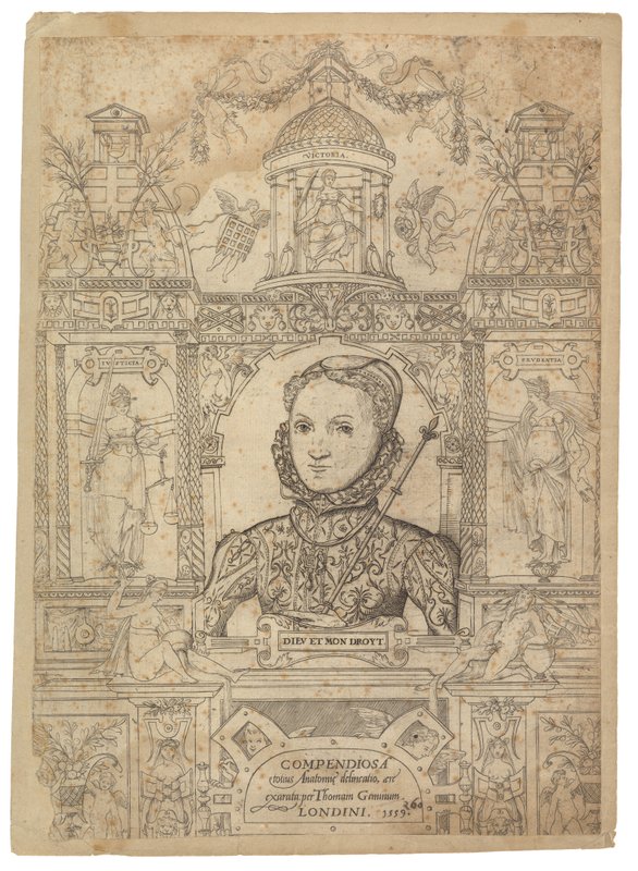 Kraliçe I. Elizabeth by English School