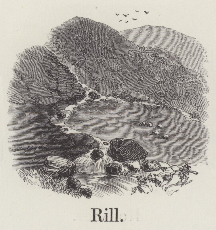 Rill (gravür) by English School