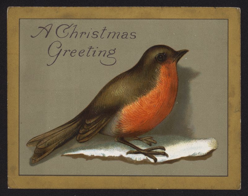 Robin (kromolito) by English School
