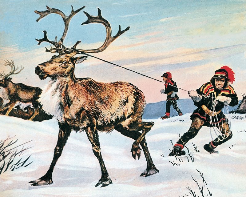 Rudolph