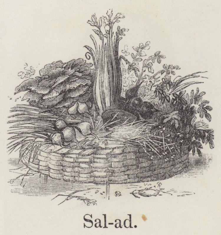 Salata (gravür) by English School
